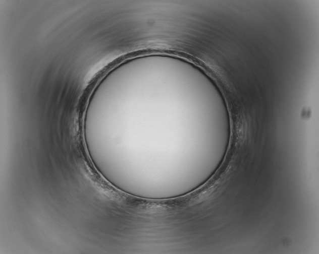 X0000113351070200909291049