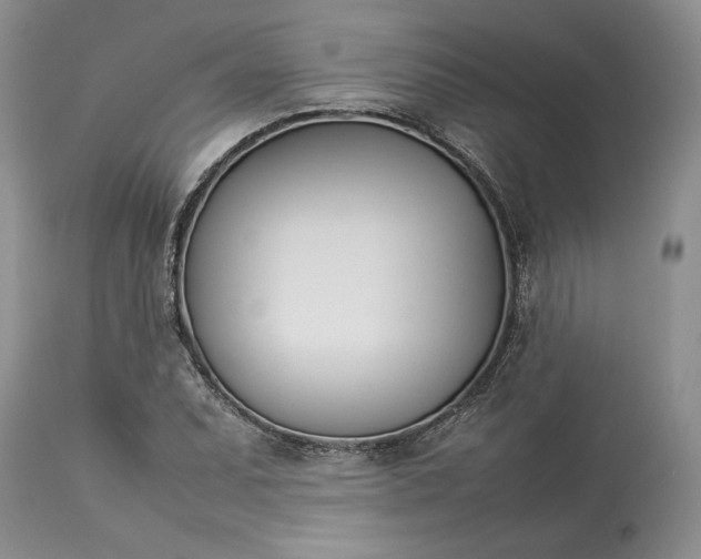 X0000113351071200909291049