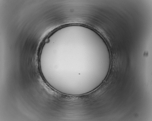 X0000113351072200909291049