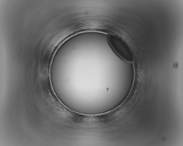 X0000113351073200909291049