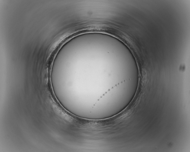X0000113351075200909291049
