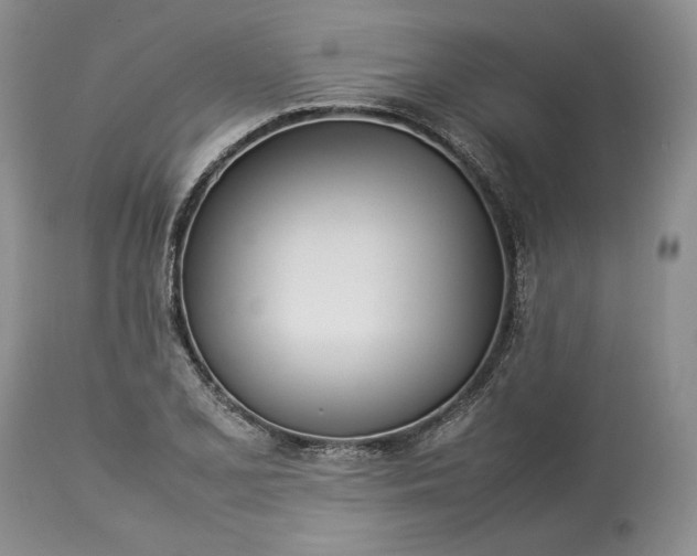 X0000113351077200909291049