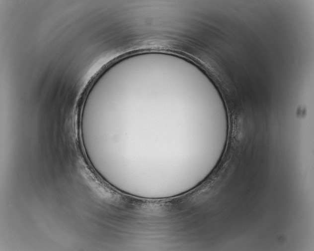 X0000113351078200909291049