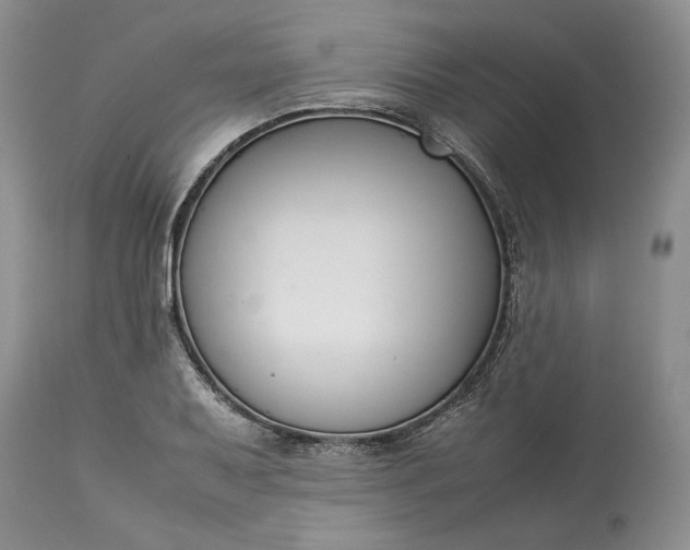 X0000113351079200909291049