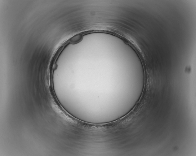 X0000113351080200909291049