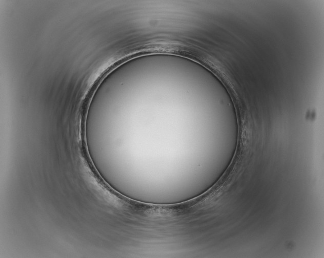 X0000113351083200909291049
