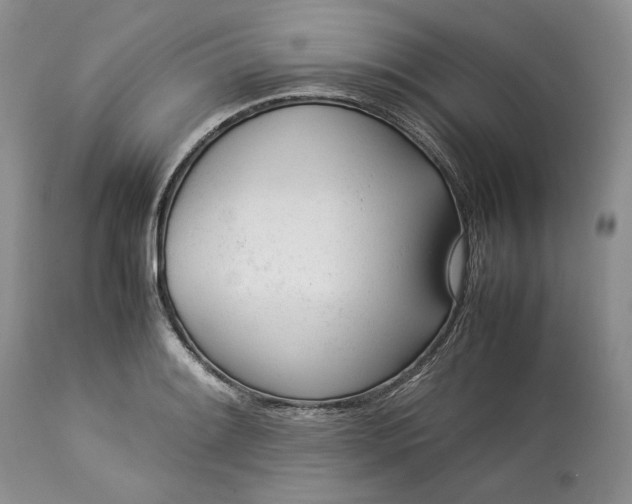X0000113351084200909291049