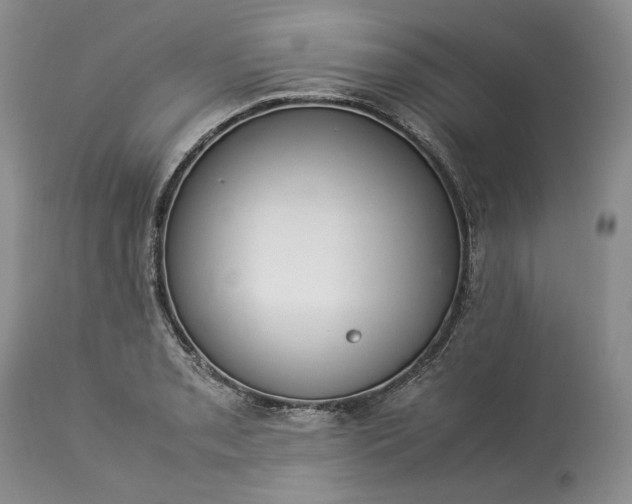 X0000113351085200909291049
