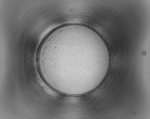 X0000113351086200909291049