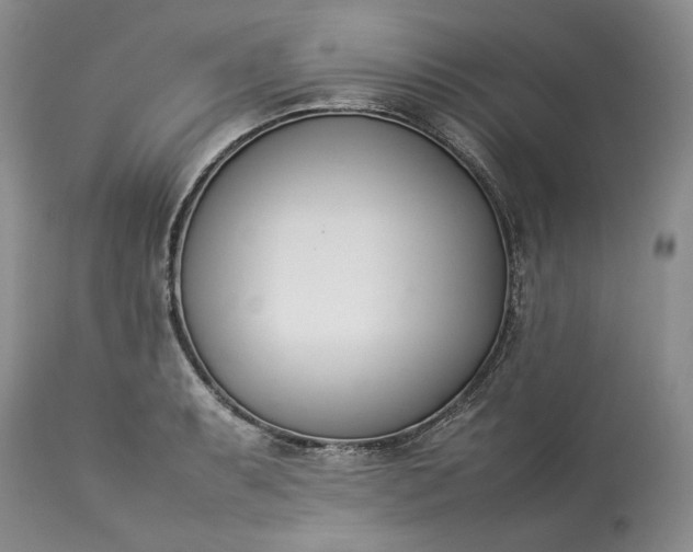 X0000113351087200909291049