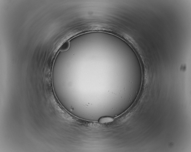 X0000113351089200909291049