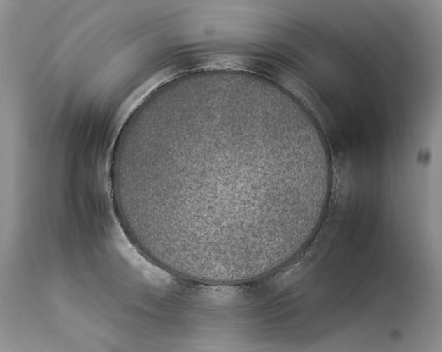 X0000113351090200909291049