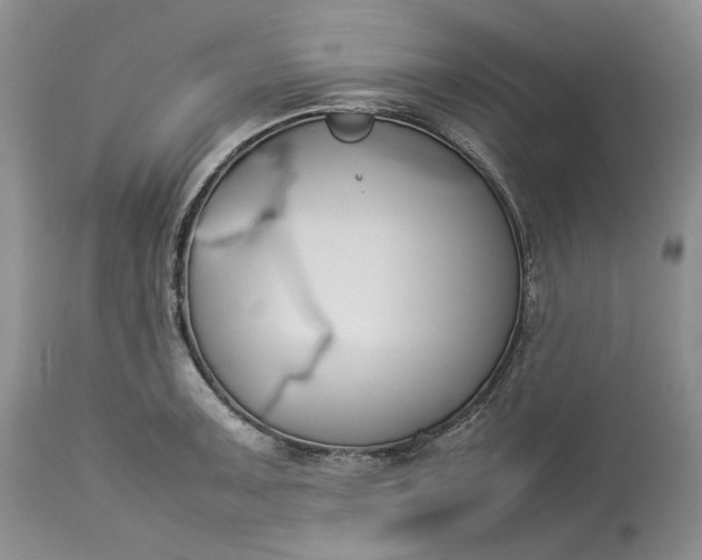 X0000113351091200909291049