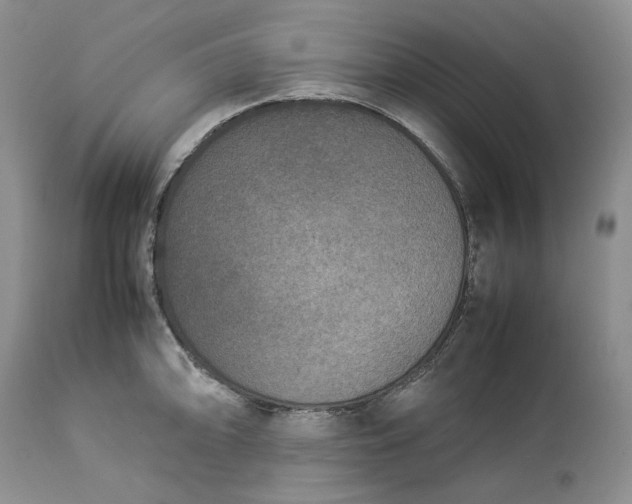 X0000113351094200909291049