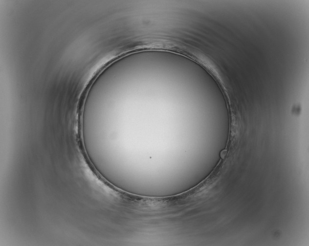 X0000113351095200909291049