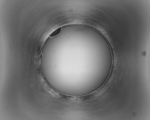 X0000113351097200909291049