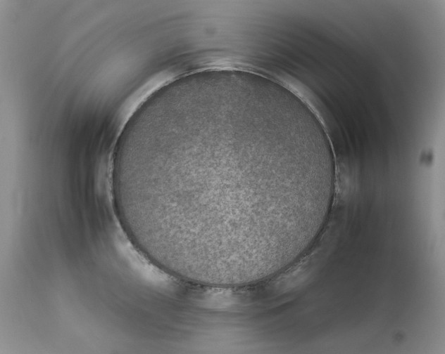 X0000113351098200909291049