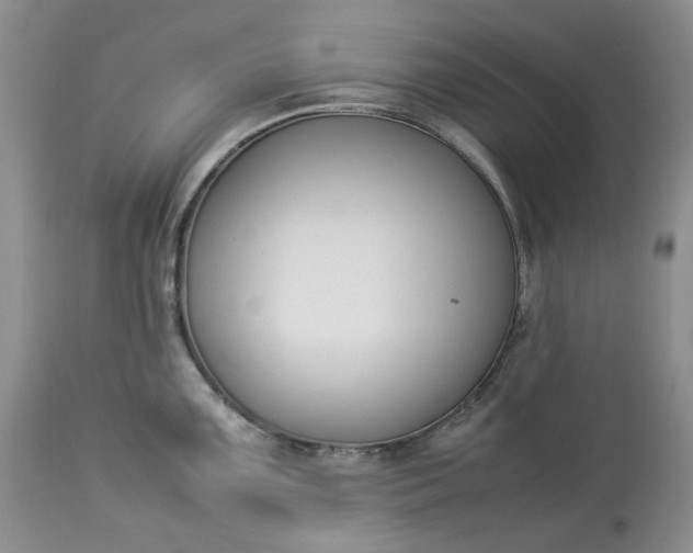 X0000113351099200909291049