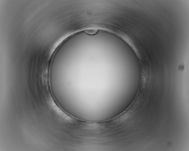 X0000113351100200909291049