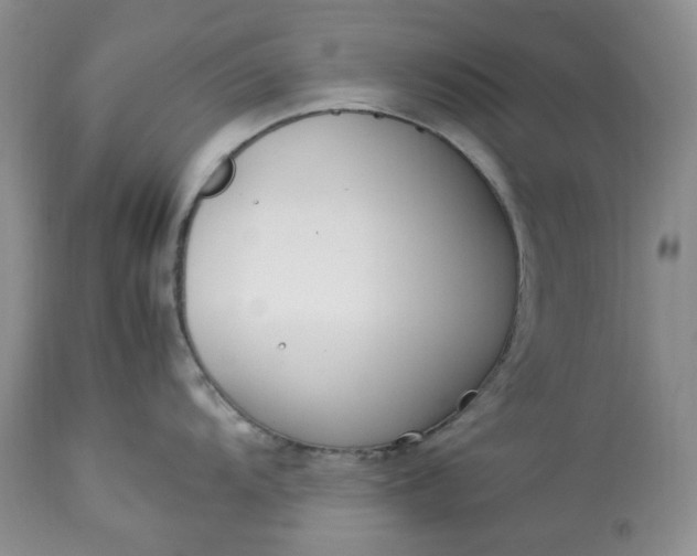 X0000113351104200909291049