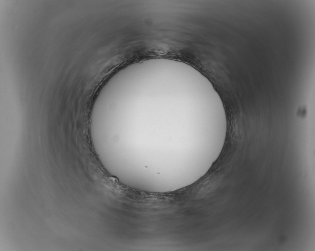 X0000113351105200909291048