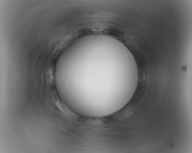 X0000113351106200909291048