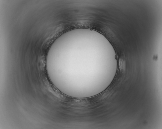 X0000113351107200909291048