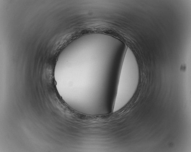 X0000113351108200909291048