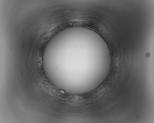 X0000113351109200909291048