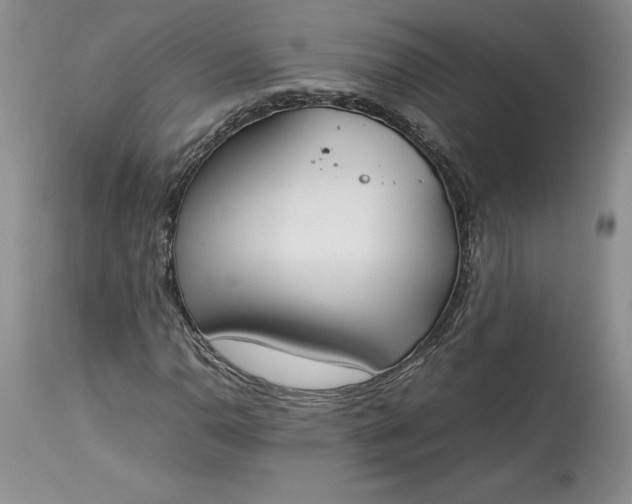 X0000113351110200909291048