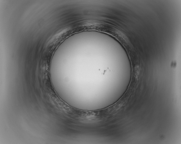 X0000113351111200909291048