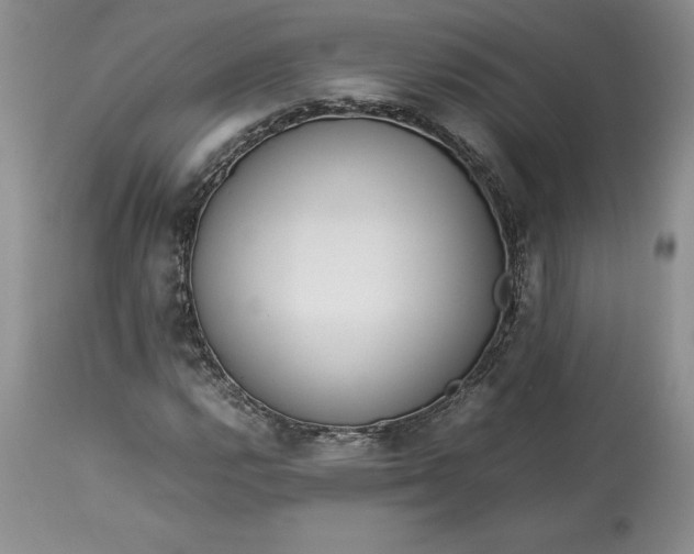 X0000113351112200909291048