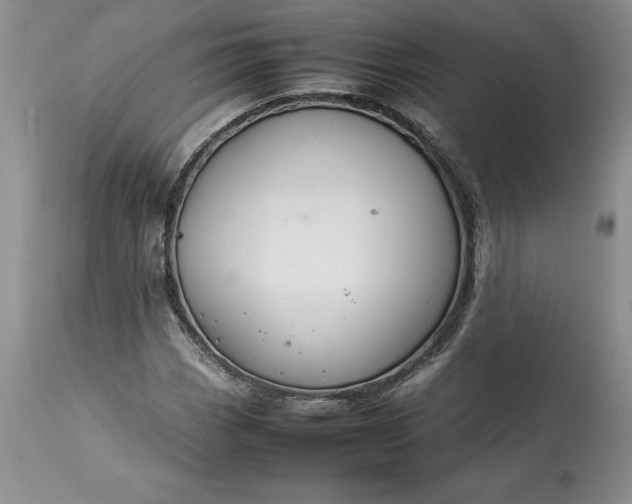X0000113351113200909291048