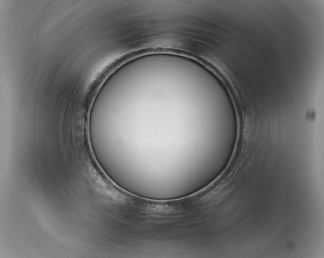 X0000113351115200909291048
