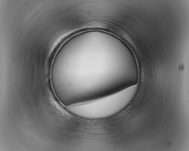 X0000113351116200909291048