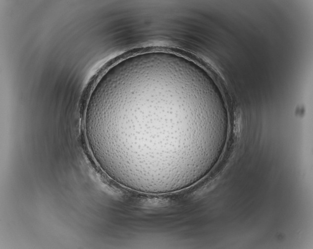 X0000113351117200909291048