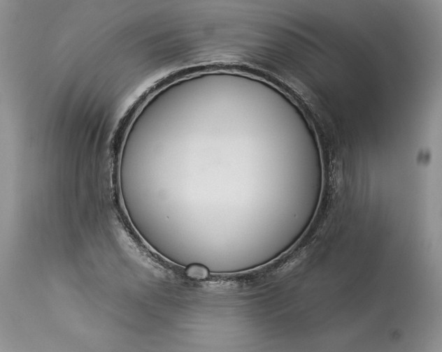 X0000113351118200909291048