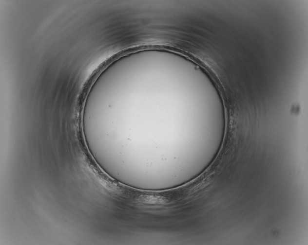 X0000113351119200909291048
