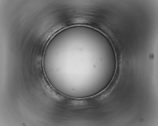 X0000113351121200909291048
