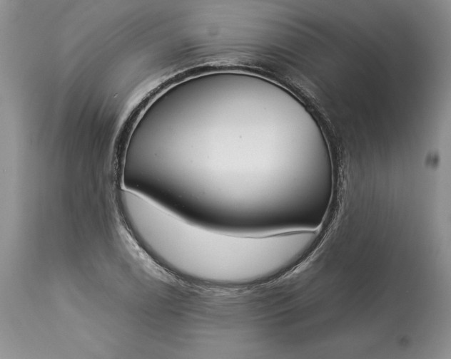 X0000113351122200909291048