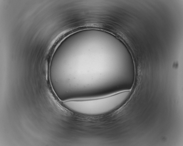 X0000113351123200909291048