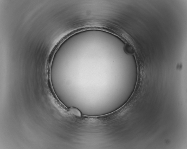 X0000113351124200909291048