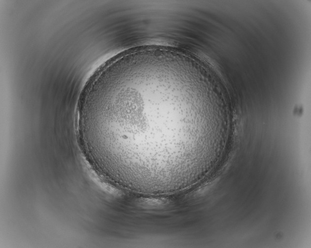 X0000113351125200909291048