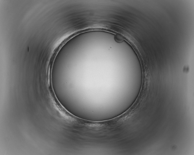 X0000113351127200909291048