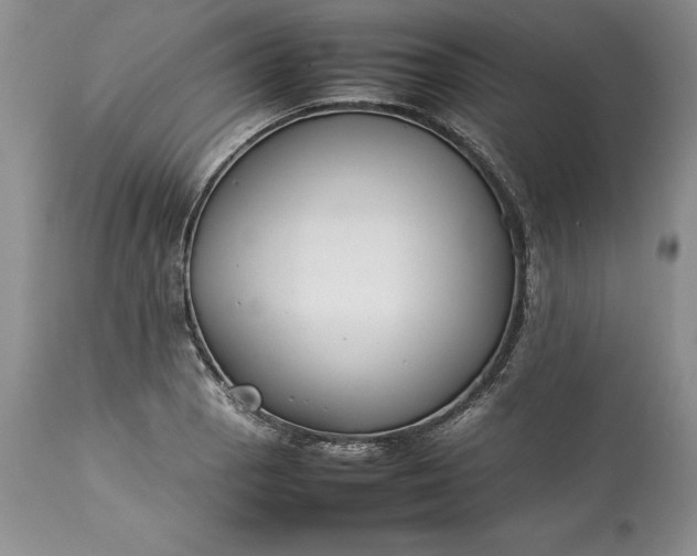 X0000113351129200909291048