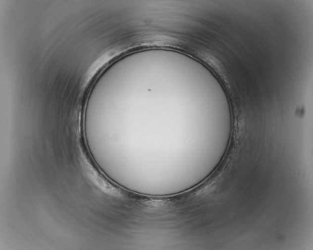 X0000113351130200909291048