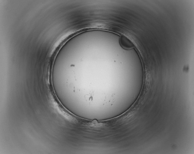 X0000113351131200909291048