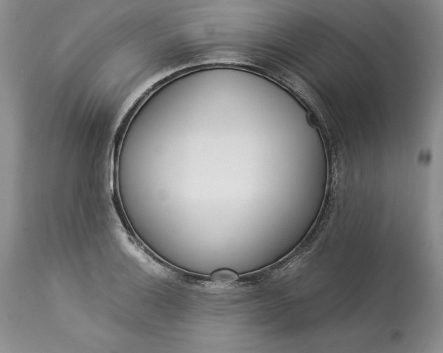 X0000113351132200909291048