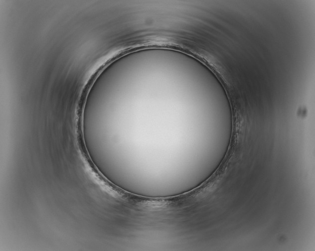 X0000113351134200909291048