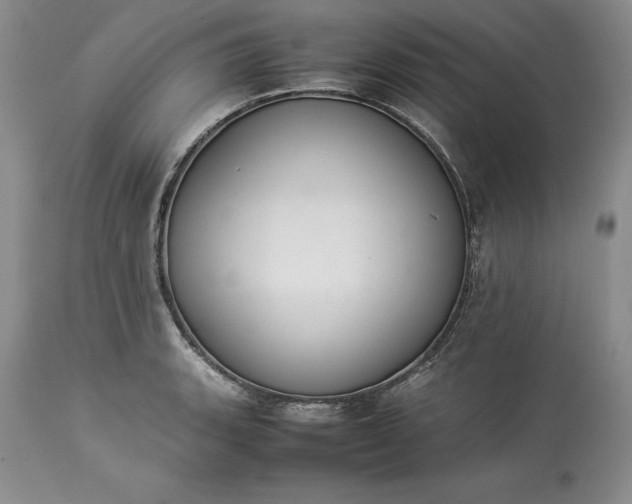 X0000113351135200909291048